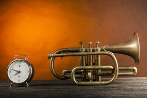 Comparison Of Pocket Trumpet Brands