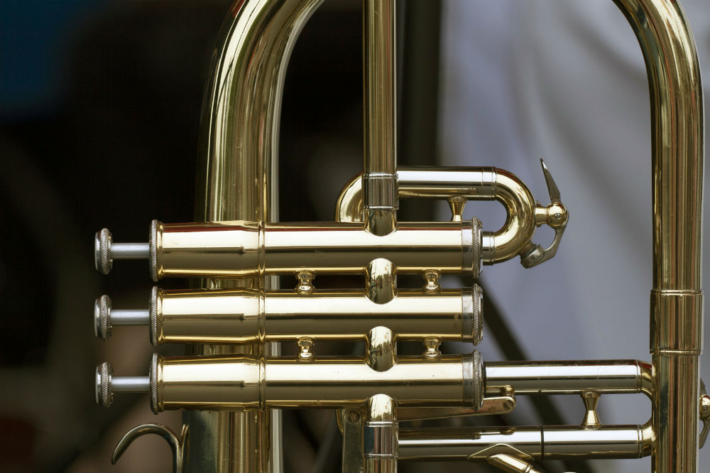Roy Benson RBPT101G BB Pocket Trumpet